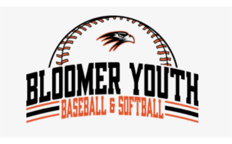 Bloomer Youth Baseball & Softball