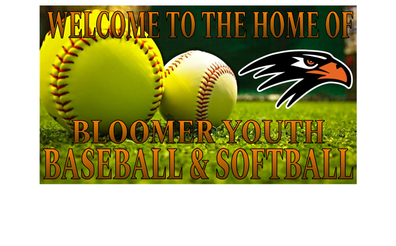 Bloomer Youth Baseball & Softball