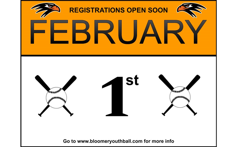 Bloomer Youth Baseball & Softball